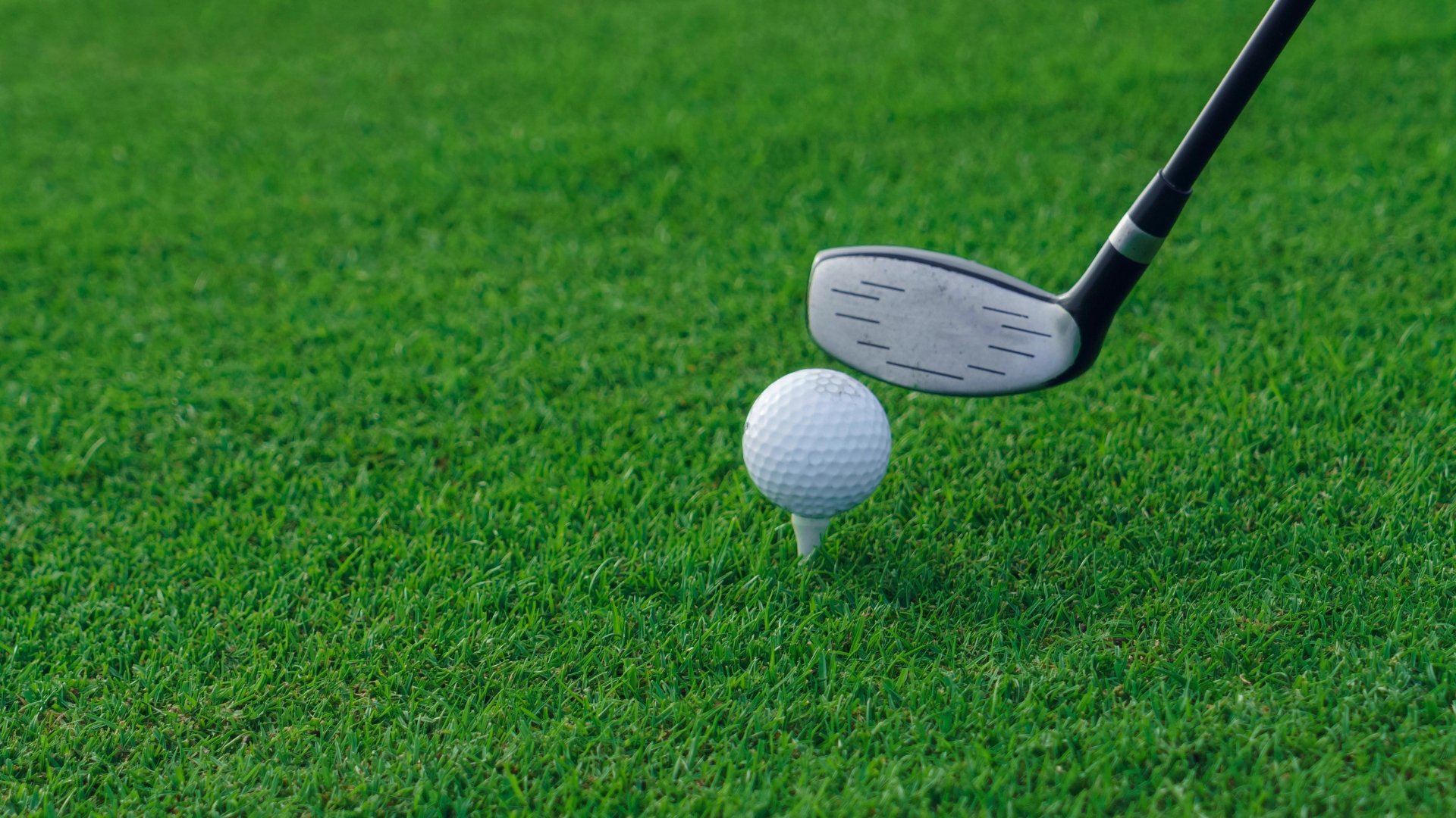 Fairway Woods
